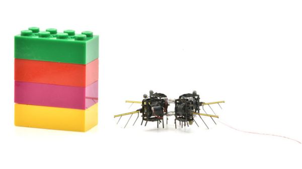 Инженеры MIT создали юркого микробота-шмеля &mdash; за 11 секунд он выполнил 10 петель Нестерова