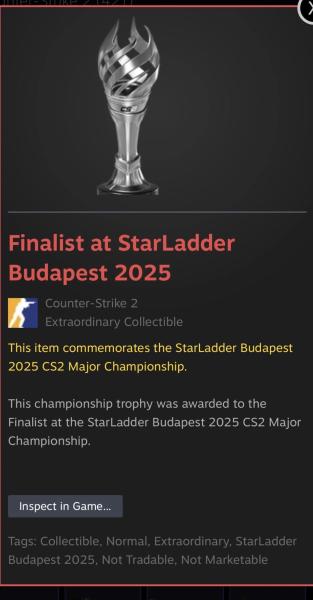 Rain получил награду за финал мейджора в Будапеште &ndash; он не выступал на турнире