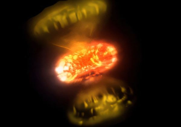 Получены первые прямые снимки термоядерных взрывов на белых карликах &mdash; детали интригуют